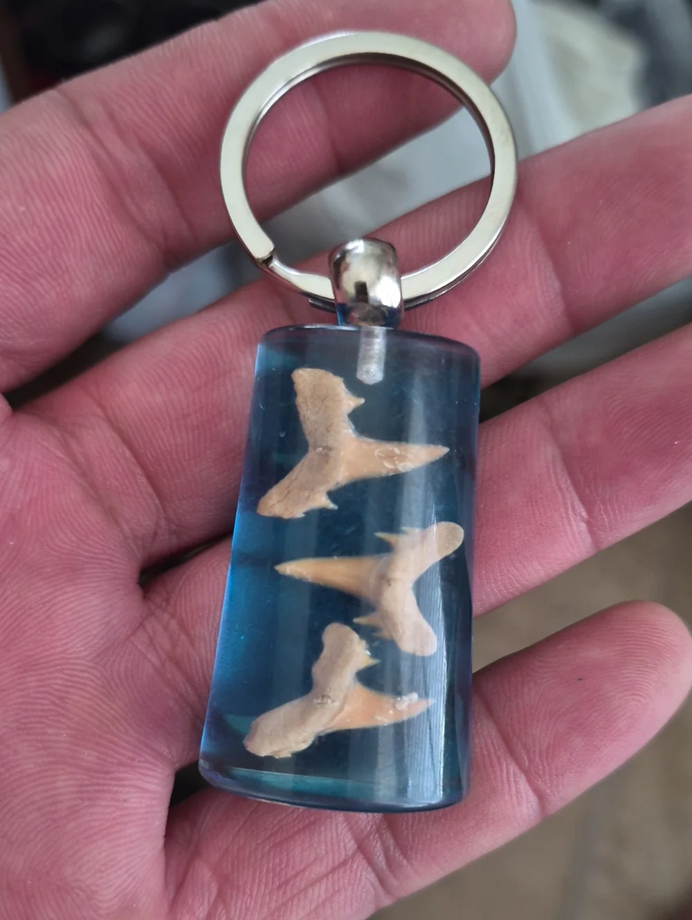 Blue Resin Shark Tooth Keychain Pendant -